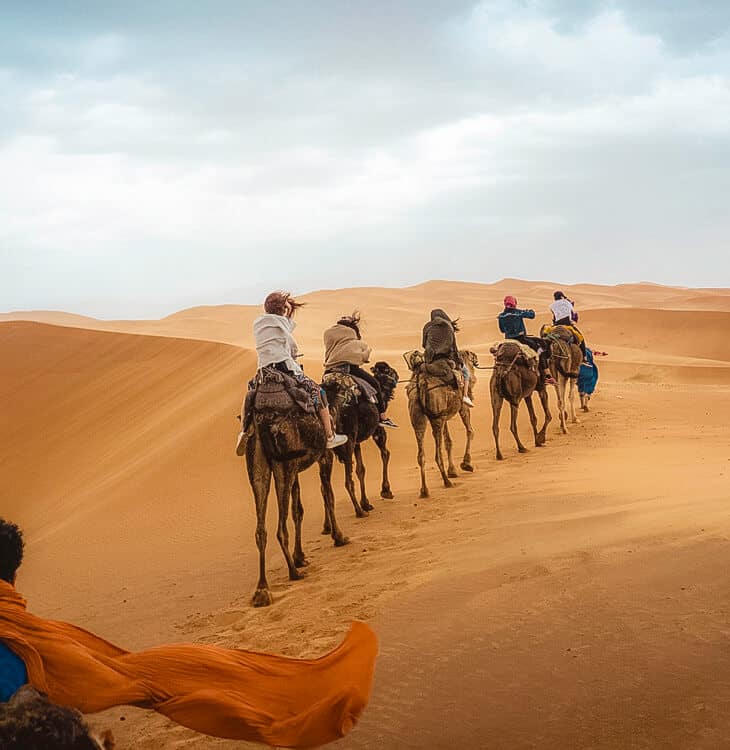 People riding camels in Sahara desert